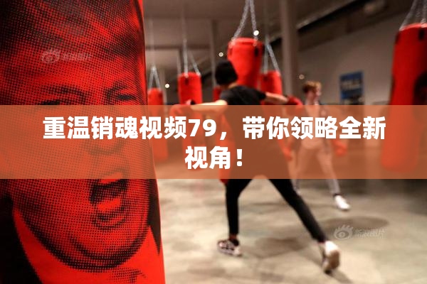 重温销魂视频79，带你领略全新视角！