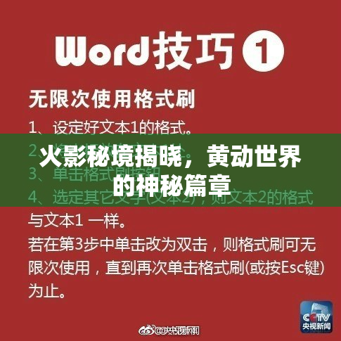 火影秘境揭晓，黄动世界的神秘篇章