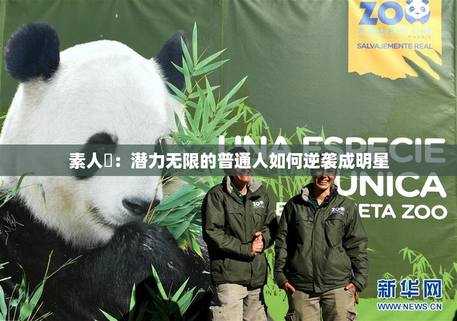 素人蘭：潜力无限的普通人如何逆袭成明星