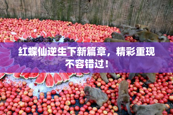 红蝶仙逆生下新篇章，精彩重现不容错过！