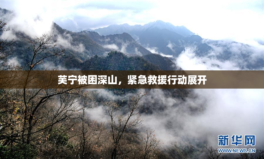 芙宁被困深山，紧急救援行动展开