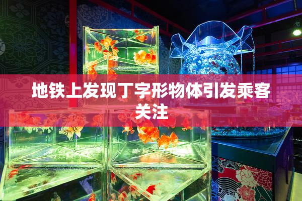 地铁上发现丁字形物体引发乘客关注