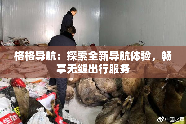格格导航：探索全新导航体验，畅享无缝出行服务