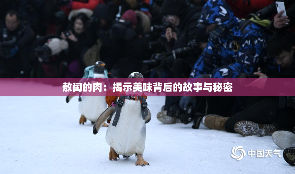 敖闰的肉：揭示美味背后的故事与秘密