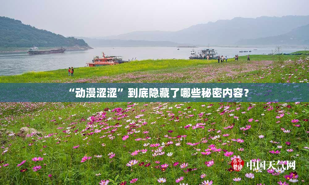 “动漫涩涩”到底隐藏了哪些秘密内容？