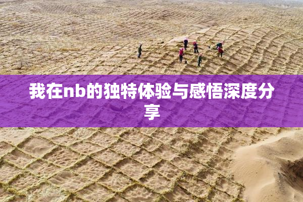 我在nb的独特体验与感悟深度分享