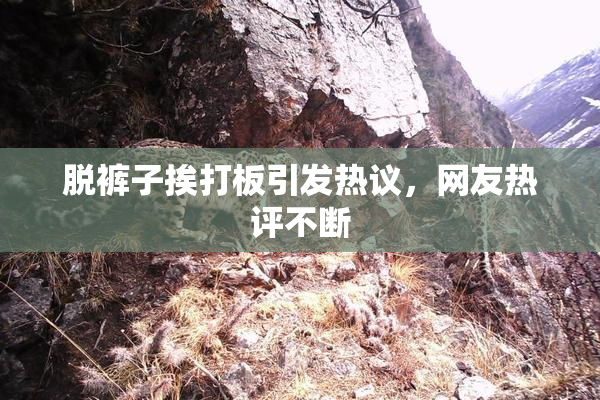 脱裤子挨打板引发热议，网友热评不断
