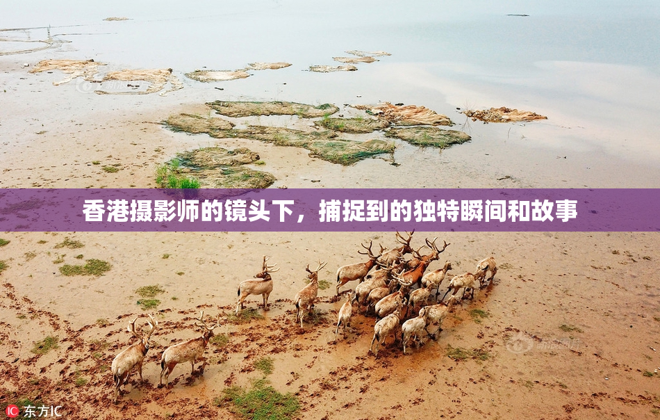 香港摄影师的镜头下，捕捉到的独特瞬间和故事