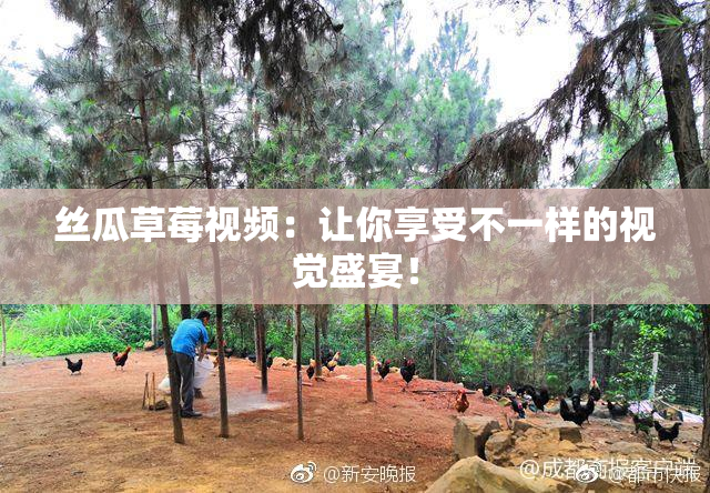 丝瓜草莓视频：让你享受不一样的视觉盛宴！