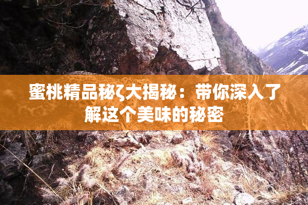 蜜桃精品秘ζ大揭秘：带你深入了解这个美味的秘密