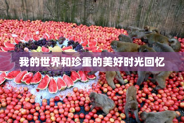 我的世界和珍重的美好时光回忆