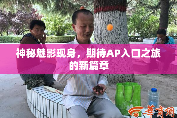 神秘魅影现身，期待AP入口之旅的新篇章