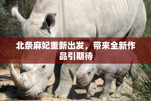 北条麻妃重新出发，带来全新作品引期待