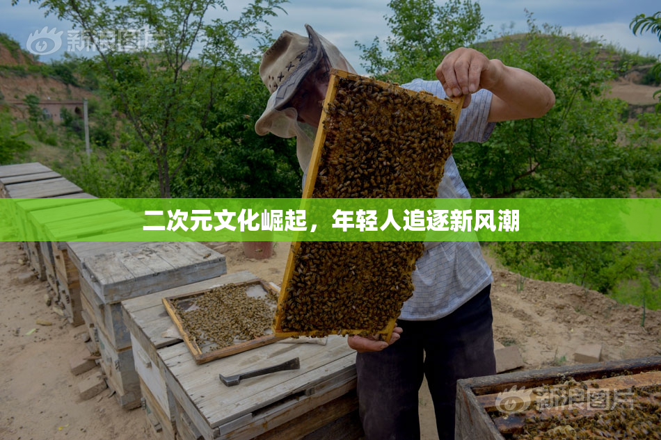 二次元文化崛起，年轻人追逐新风潮