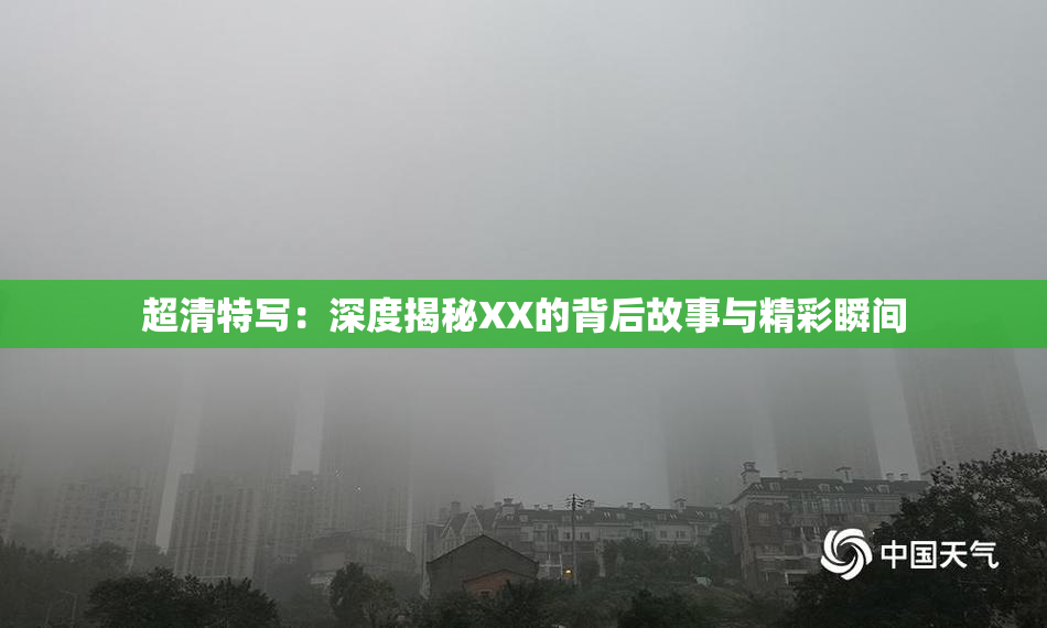 超清特写：深度揭秘XX的背后故事与精彩瞬间