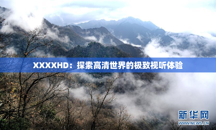 XXXXHD：探索高清世界的极致视听体验