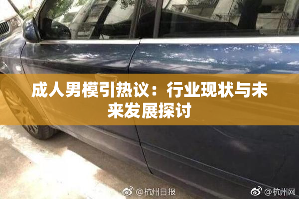 成人男模引热议：行业现状与未来发展探讨