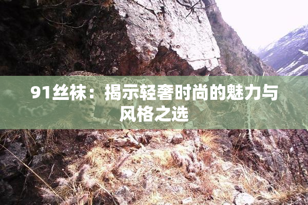 91丝袜：揭示轻奢时尚的魅力与风格之选