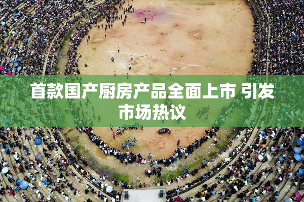 首款国产厨房产品全面上市 引发市场热议