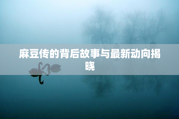 麻豆传的背后故事与最新动向揭晓