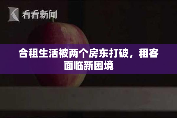 合租生活被两个房东打破，租客面临新困境