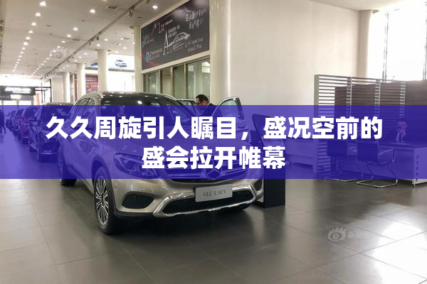 久久周旋引人瞩目，盛况空前的盛会拉开帷幕