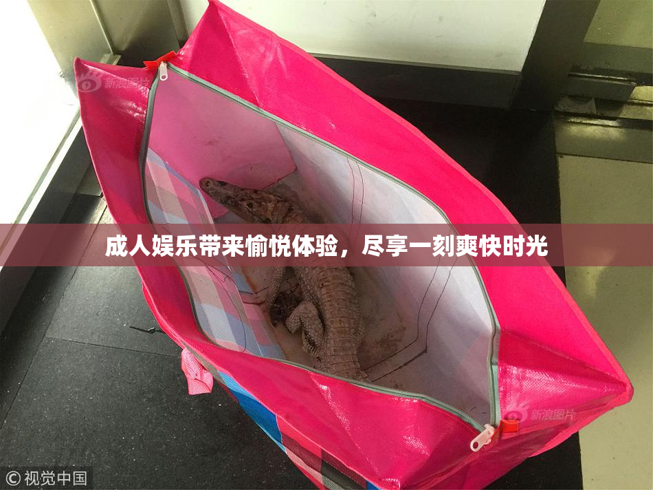 成人娱乐带来愉悦体验，尽享一刻爽快时光
