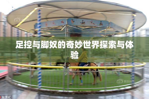 足控与脚奴的奇妙世界探索与体验