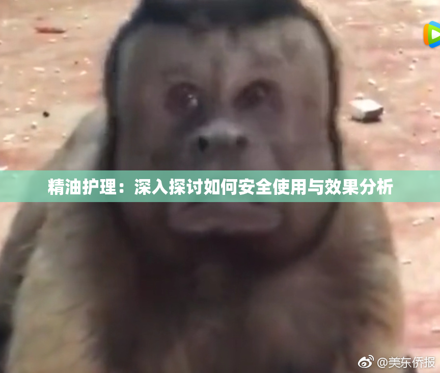 精油护理：深入探讨如何安全使用与效果分析