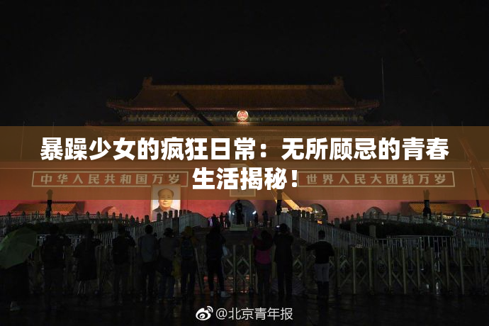 暴躁少女的疯狂日常：无所顾忌的青春生活揭秘！