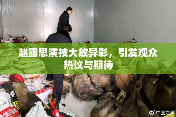 赵露思演技大放异彩，引发观众热议与期待