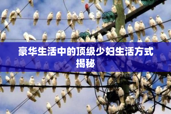 豪华生活中的顶级少妇生活方式揭秘