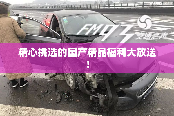 精心挑选的国产精品福利大放送！