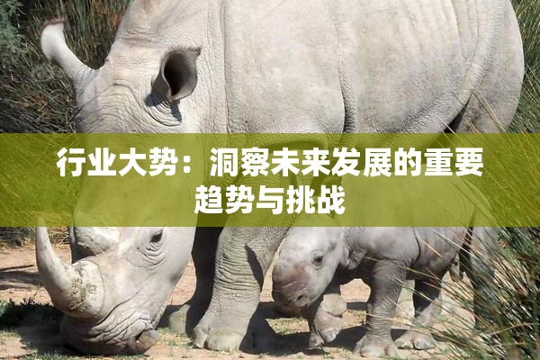 行业大势：洞察未来发展的重要趋势与挑战
