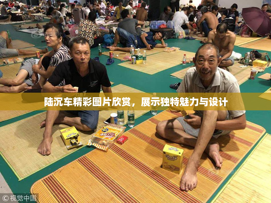 陆沉车精彩图片欣赏，展示独特魅力与设计