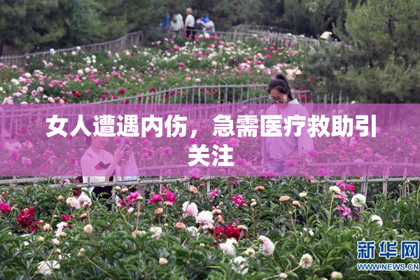 女人遭遇内伤，急需医疗救助引关注