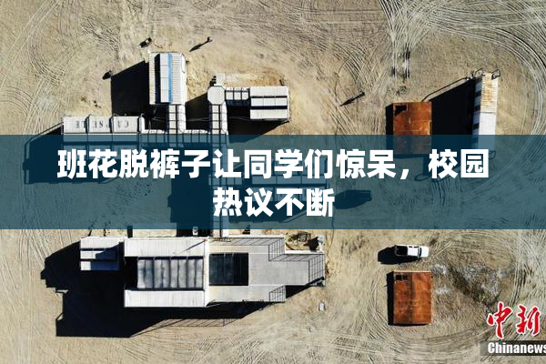 班花脱裤子让同学们惊呆，校园热议不断
