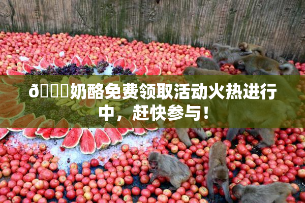 🔞奶酪免费领取活动火热进行中，赶快参与！