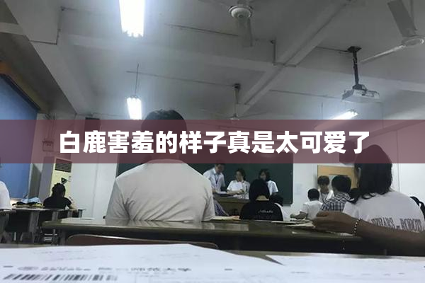 白鹿害羞的样子真是太可爱了