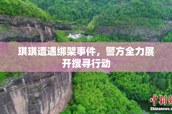 琪琪遭遇绑架事件，警方全力展开搜寻行动