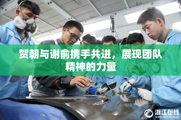 贺朝与谢俞携手共进，展现团队精神的力量