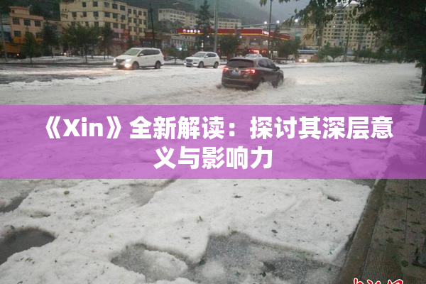《Xin》全新解读：探讨其深层意义与影响力