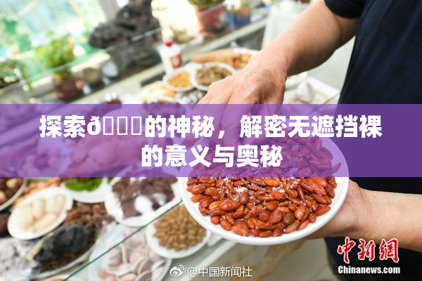 探索🔞的神秘，解密无遮挡裸的意义与奥秘