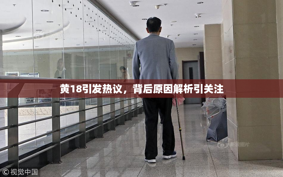 黄18引发热议，背后原因解析引关注