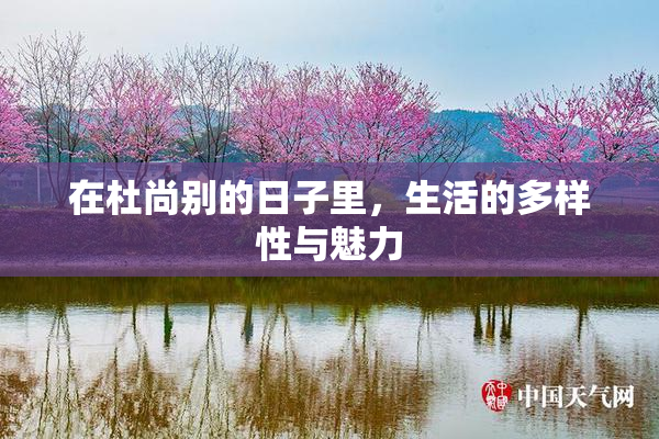 在杜尚别的日子里，生活的多样性与魅力