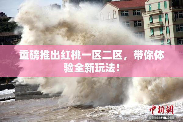 重磅推出红桃一区二区，带你体验全新玩法！