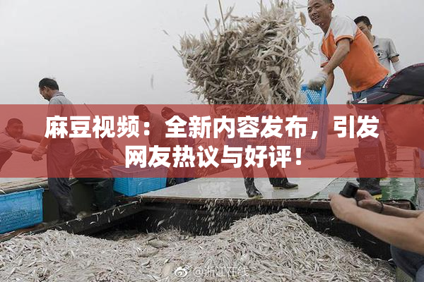 麻豆视频：全新内容发布，引发网友热议与好评！