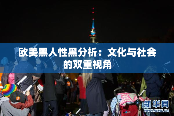 欧美黑人性黑分析：文化与社会的双重视角