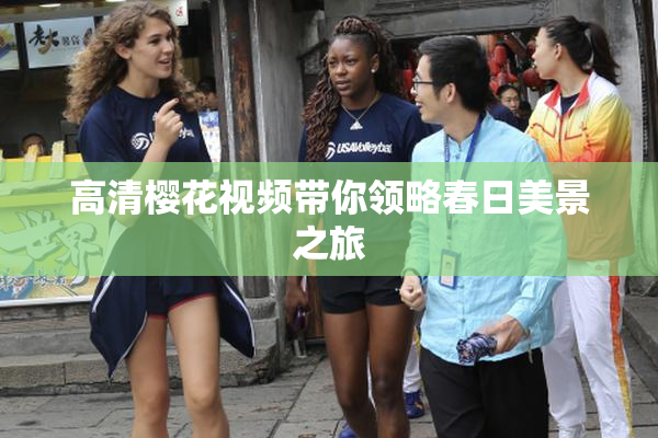 高清樱花视频带你领略春日美景之旅