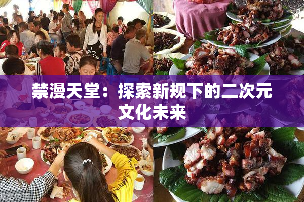 禁漫天堂：探索新规下的二次元文化未来